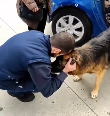 El dueño de Dico murió