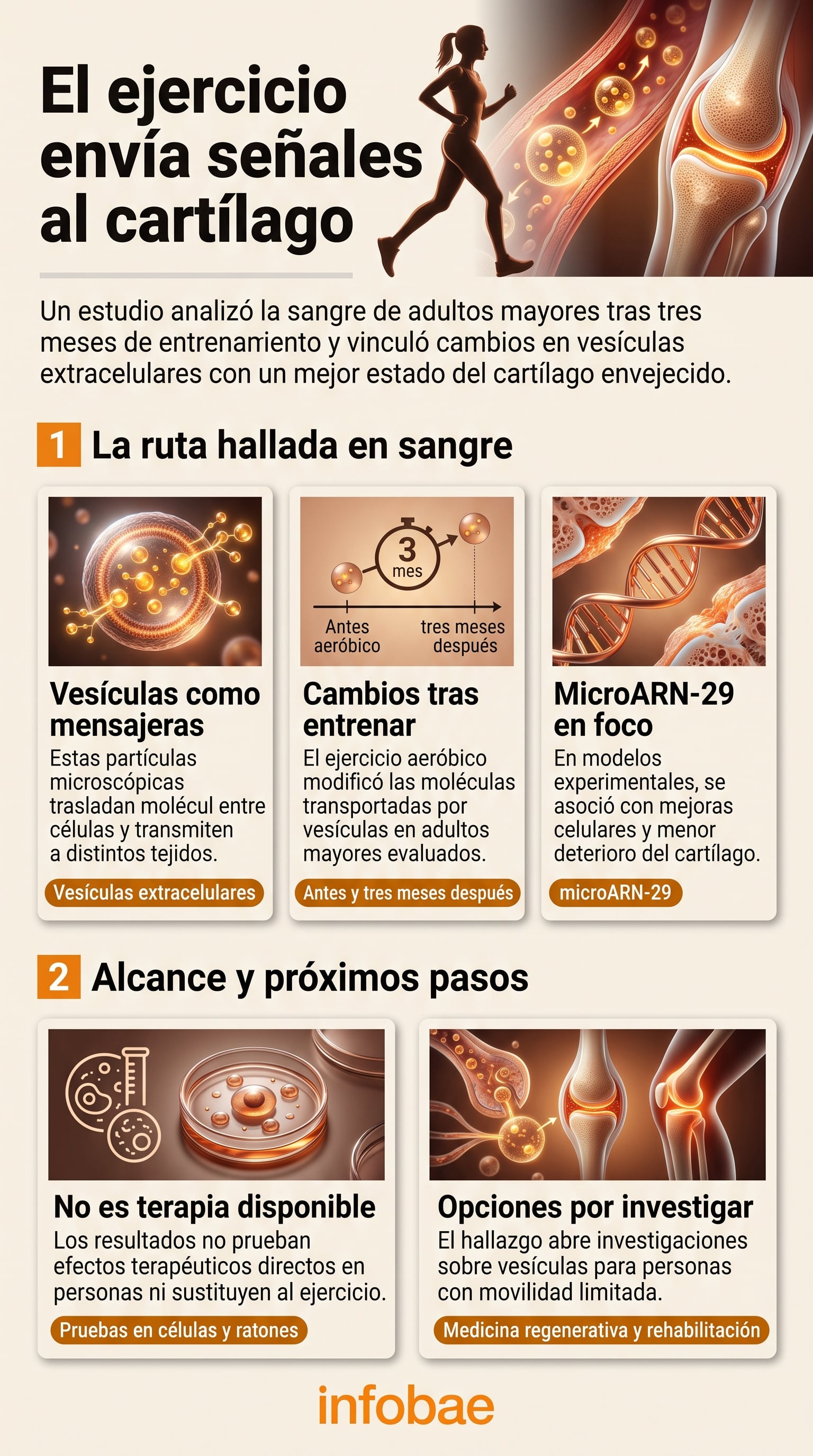 La osteoartritis provoca el desgaste del tejido articular y constituye una de las causas principales de discapacidad en adultos mayores (Imagen Ilustrativa Infobae)