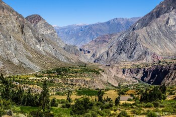 Peru, Cotahuasi canyon. The wolds