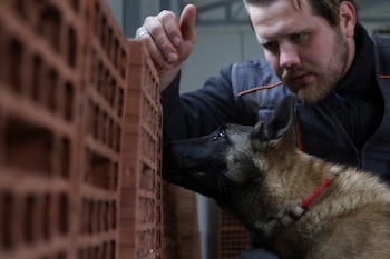 Investigadores desarrollan baterías de pruebas