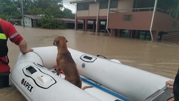 En fotos: Así fueron los rescates en zonas afectadas por Onda Tropical que golpea en Costa Rica
