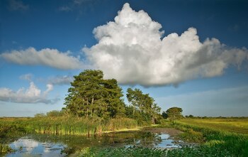 Arthur R. Marshall Loxahatchee National