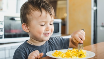 Cómo la alimentación en la