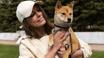 El comportamiento canino revela vínculos