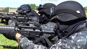 Grupo Geri: el comando adiestrado