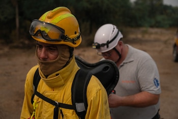 El fin de semana llegaron