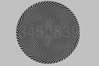Acertijo visual e ilusión óptica.