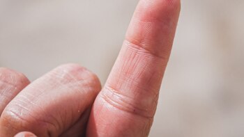 El nivel de microplásticos en