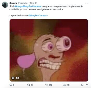 #ApoyoMaryFerCenteno. (Captura: X)