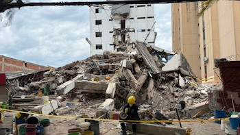 Gracias a perrita entrenada, rescataron a un niño que permaneció 32 horas entre los escombros del terremoto en Cali