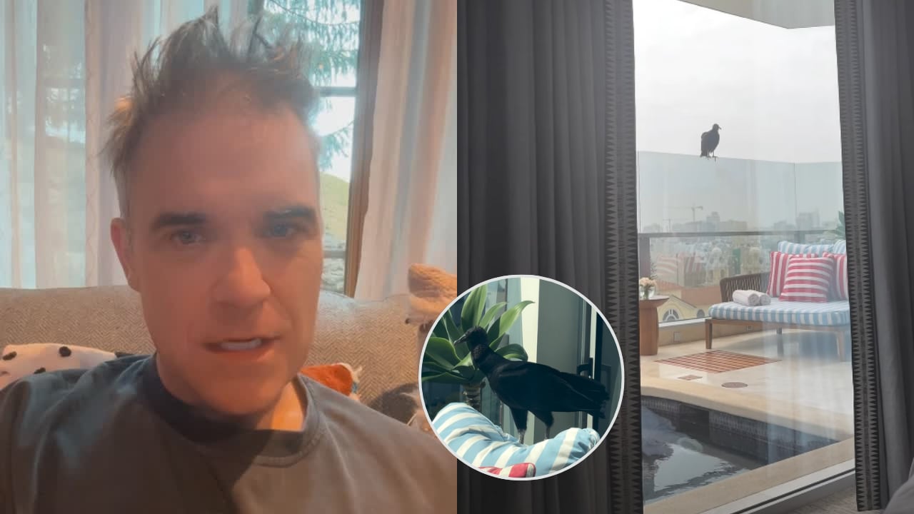 Robbie Williams y el inesperado gallinazo que se instaló en la terraza de su hotel limeño