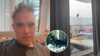 Robbie Williams y el inesperado gallinazo que se instaló en la terraza de su hotel limeño