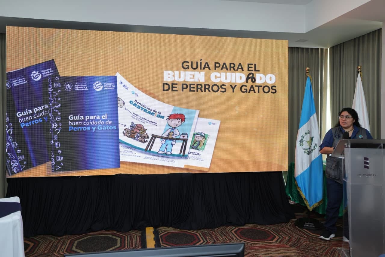 El Ministerio de Agricultura, Ganadería y Alimentación de Guatemala difunde folletos instructivos sobre el cuidado de mascotas y la denuncia del maltrato animal. (Ministerio de Agricultura, Ganadería y Alimentación)