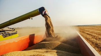 El riesgo invisible que amenaza