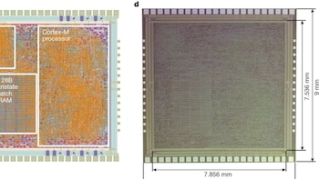 Cómo es el novedoso microchip