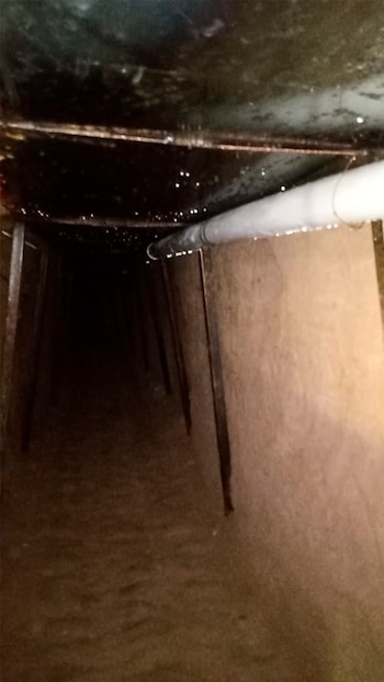 Nuevo León cuenta con 677