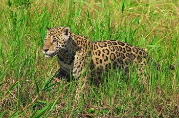 Fotografía de archivo fechada el