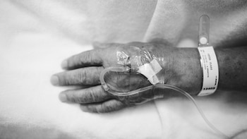 Rige la eutanasia en Uruguay: los fármacos que se utilizan para aplicarla y los primeros pacientes interesados