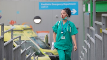 El estudio propuso que se