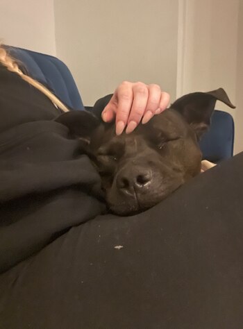 Su comportamiento fuera de la