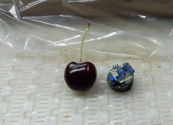 Investigadores desarrollaron una cereza electrónica