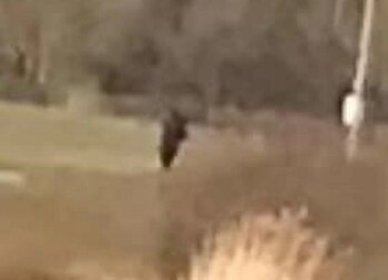 Tres años después de su desaparición, la policía todavía cree posible encontrar viva a una adolescente británica