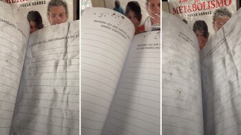 La artista reconvertida en influencer