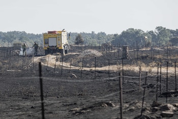 Un Charli de la Junta realiza labores de extinción, a 21 de julio de 2026, en Brieva, Segovia, Castilla y León (España). (Nacho Valverde/Europa Press)