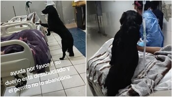 (TikTok: @normaecha)