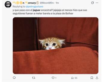 Usuarios en X retomaron la