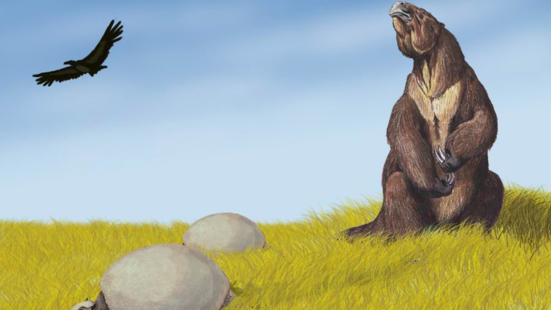 El perezoso gigante era herbívoro y fue una presa fácil y atractiva por su tamaño y lentitud (Wikipedia)