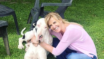 La comunicación política en la