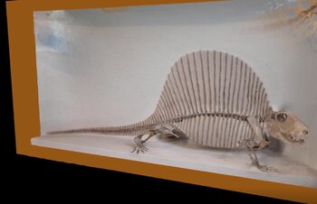 La evolución de la postura