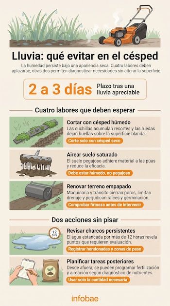 Infografía con ilustraciones de un cortacésped, un rastrillo con barro, un rodillo para tierra, un charco y un cuaderno de anotaciones.