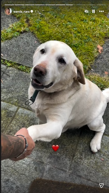 En redes sociales, Wanda Nara