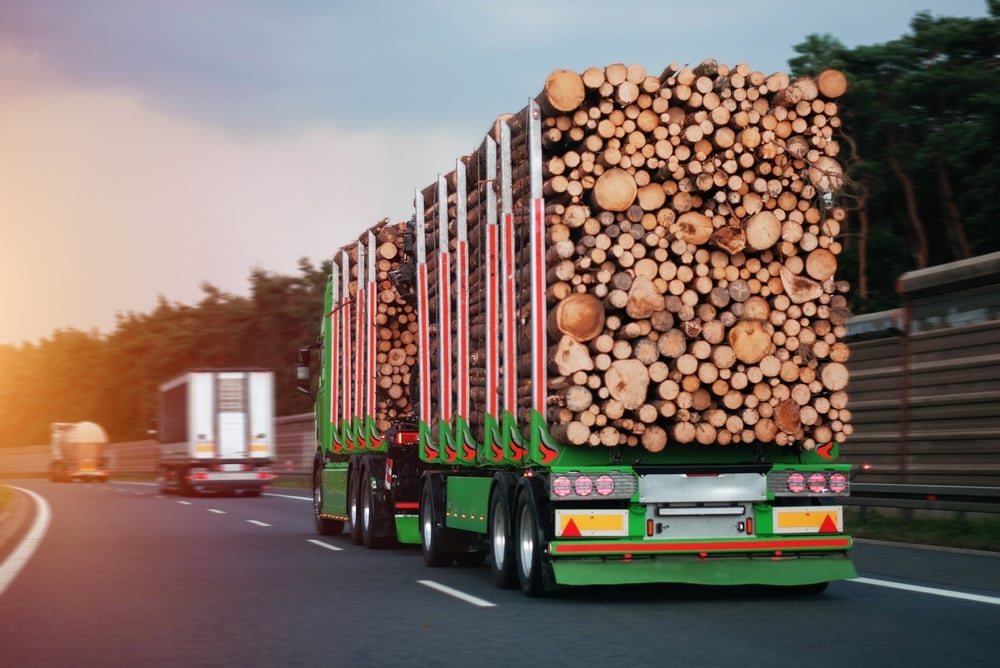 En términos logísticos, la experiencia internacional muestra que los mejores resultados se alcanzan en corredores de larga distancia, con altos volúmenes y menor fragmentación de carga (Foto: Shutterstock)