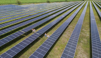 La diversificación de la matriz