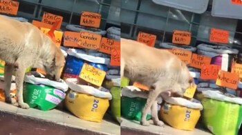 Las redes sociales se estallaron