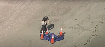 Su hermana logró salvarse, sin embargo, el joven falleció. (Crédito: NBC 6 South Florida)