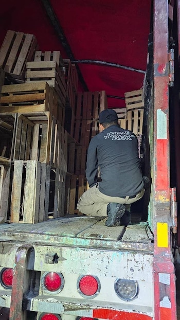 De acuerdo con las autoridades, el cargamento alcanzó un peso aproximado de una tonelada con 225 kilogramos. (Crédito: Gabinete de Seguridad de Tabasco)