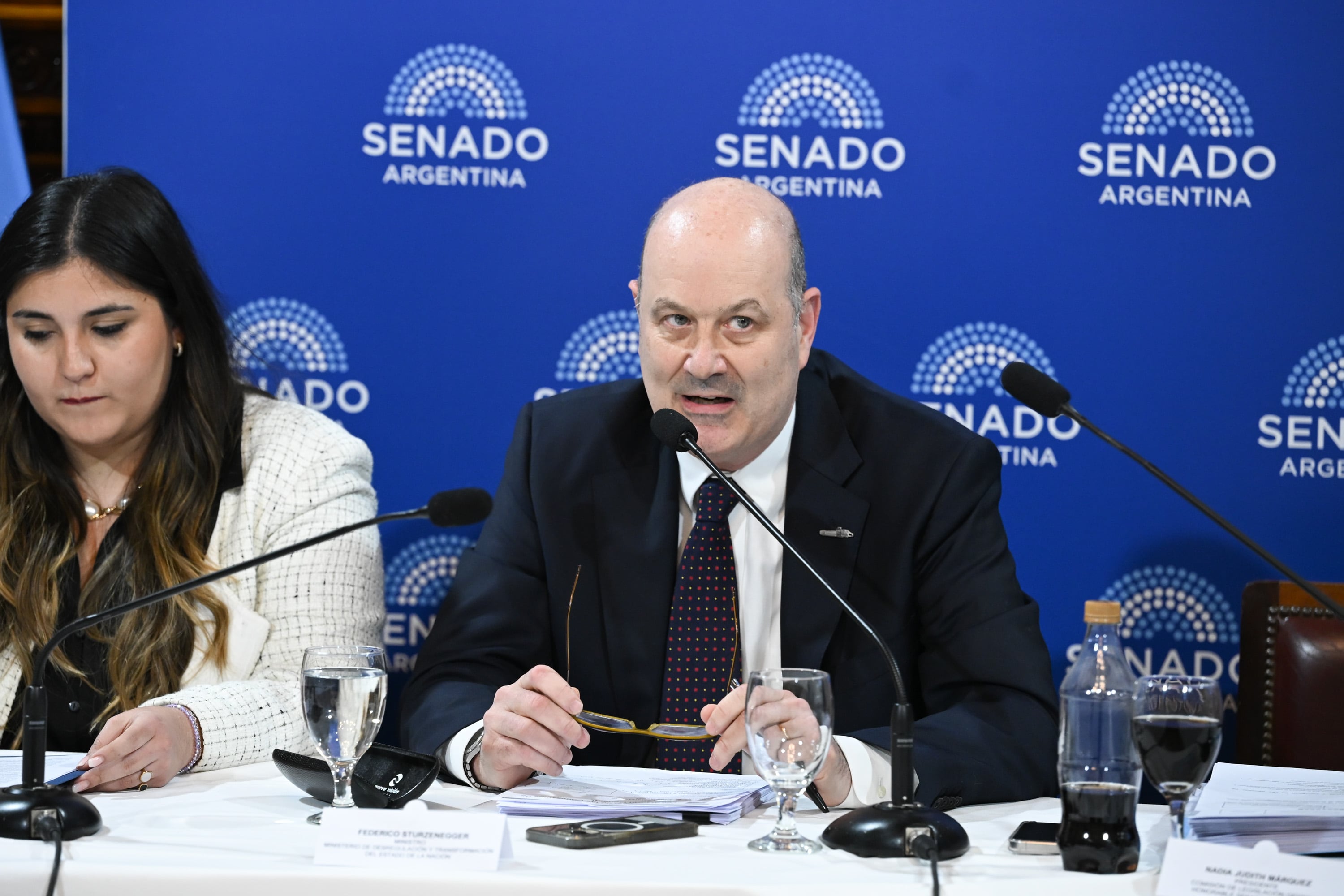 El ministro de Desregulación, Federico Sturzenegger, durante la exposición de esta tarde en la comisión de Legislación General de la Cámara alta (Fotos: Prensa Senado)