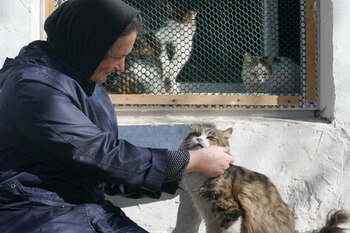 Tras frotar la cara y