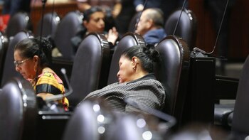 La diputada fue captada durmiendo mientras se discutía una reforma en el pleno. (X, @DiputadosOut)