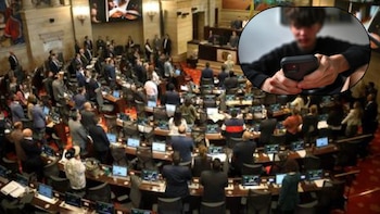 El senado de la república