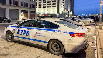 Vandalismo en Brooklyn: siete patrulleros