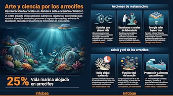 Infográficos do ambiente marinho com alto-falantes subaquáticos, recifes de corais coloridos, estátuas de água e painéis solares flutuando na superfície.