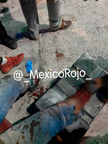 La persona de sexo femenino,