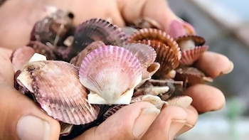 Produce establece tope de 185