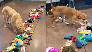 La preocupación de la HES