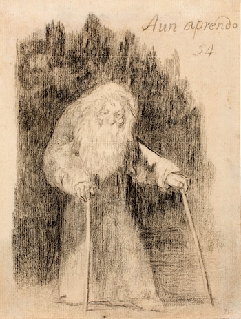 Goya - Aun aprendo